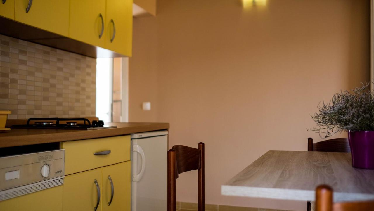 Apartments Karla ロゴズニッツァ エクステリア 写真
